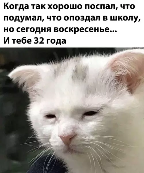Смешная картинка №514987