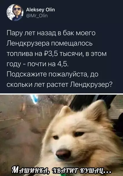 Смешная картинка №525773