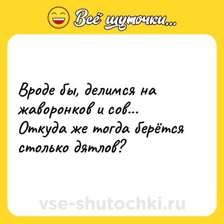 Шутка: Вроде бы, делимся на жаворонков и сов... Откуда же тогда берётся столько дятлов?