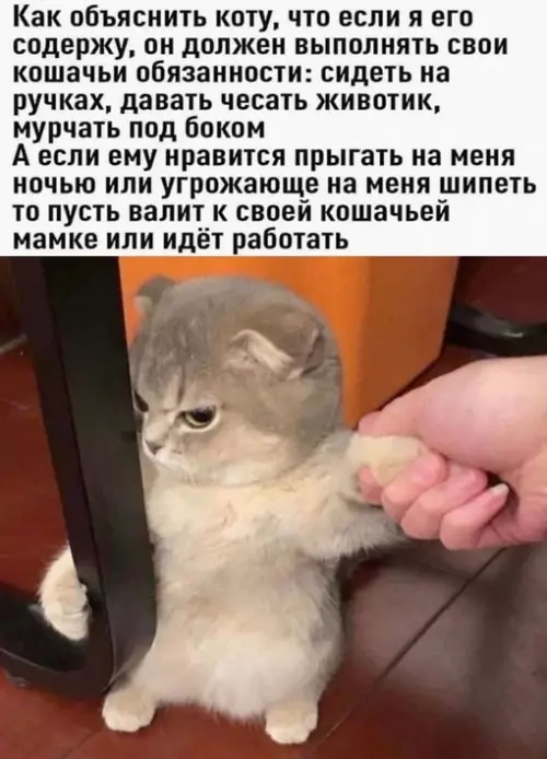 Смешная картинка №655676 Вот да