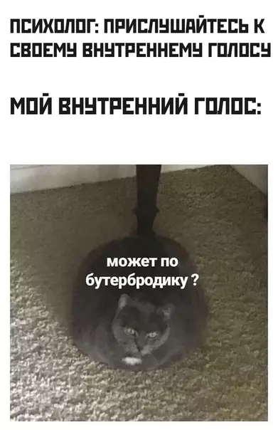 Смешная картинка №473476