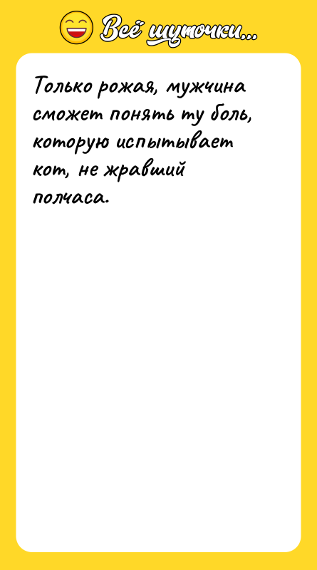 Только рожая, мужчина сможет понять ту боль, которую испытывает кот,
