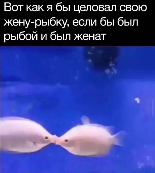 Смешная картинка №670763
