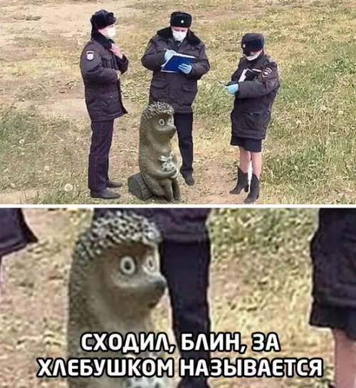 Смешная картинка №493025