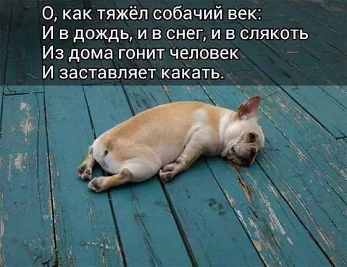 Смешная картинка №204172