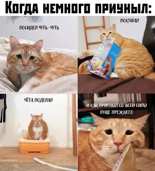 Смешная картинка №391502