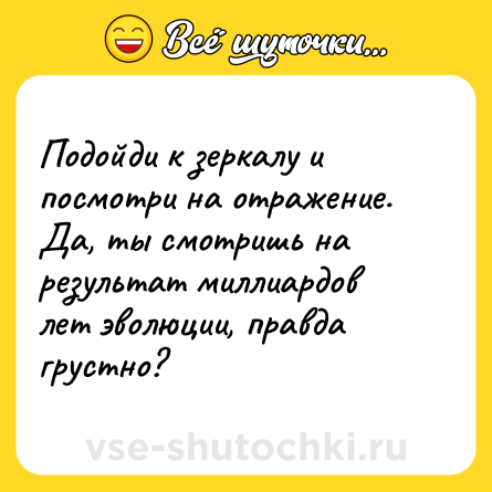 Шутка: Подойди к зеркалу и посмотри на отражение.<br>Да, ты смотришь на результат миллиардов лет эволюции, правда грустно?