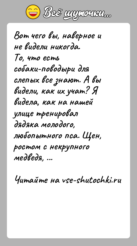 История: Вот чего вы, наверное и не видели никогда.То, что есть собаки-поводыри для слепых все знают. А вы видели, как их