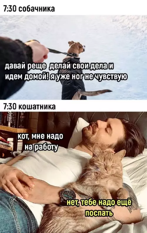 Смешная картинка №696989