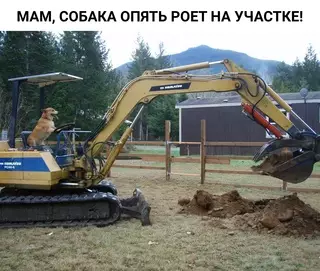 Смешная картинка №676662