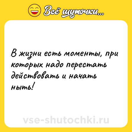 Шутка: В жизни есть моменты, при которых надо перестать действовать и начать ныть!