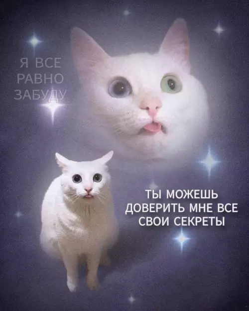 Смешная картинка №793265