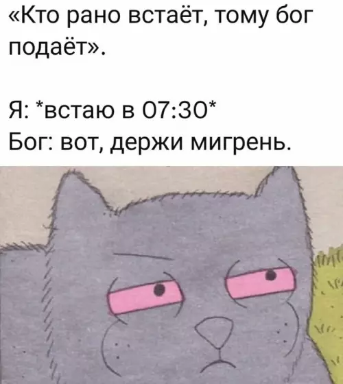 Смешная картинка №624766 Утро