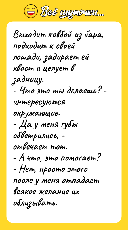 Bыходит ковбой из бара, подходит к своей лошади, задирает ей