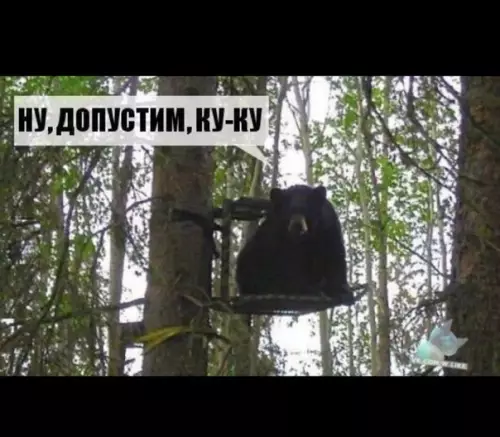 Смешная картинка №333356