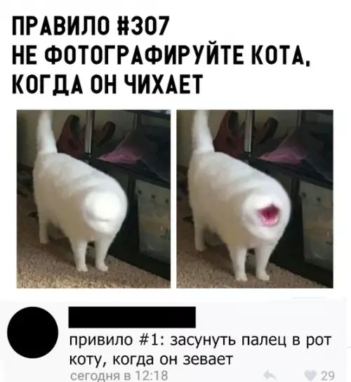 Смешная картинка №298146