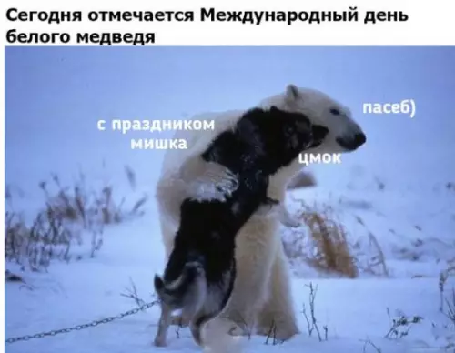 Смешная картинка №253251