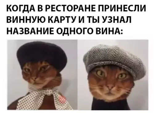 Смешная картинка №290655