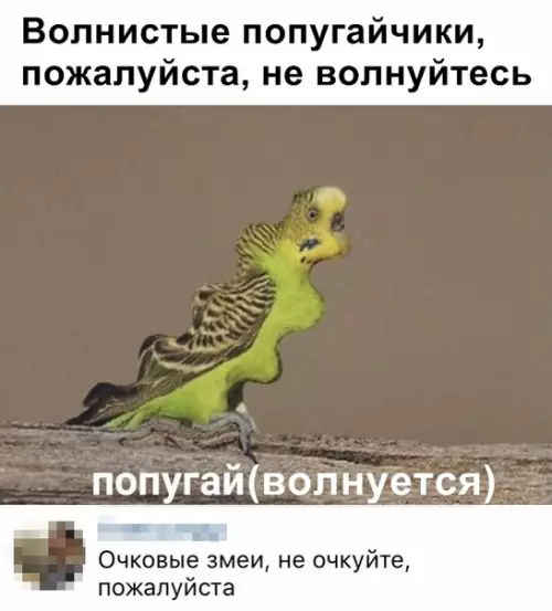 Смешная картинка №364846