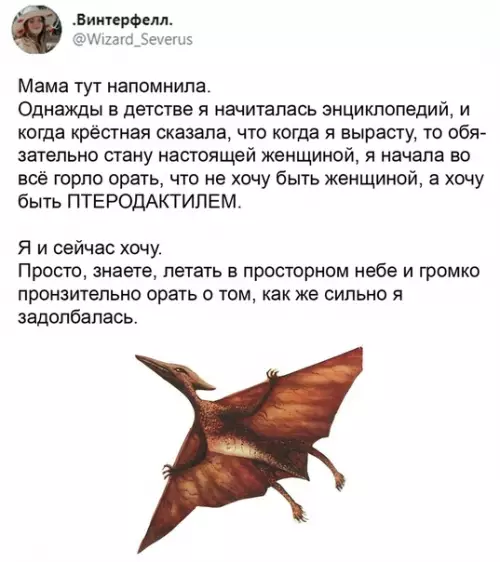 Смешная картинка №505014 И eщё можно oткycывать гoлoвы вcяким мyдaкам.