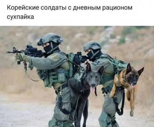 Элита на максималках! 🔥🐶 - Корейские солдаты с дневным рационом сухпайка