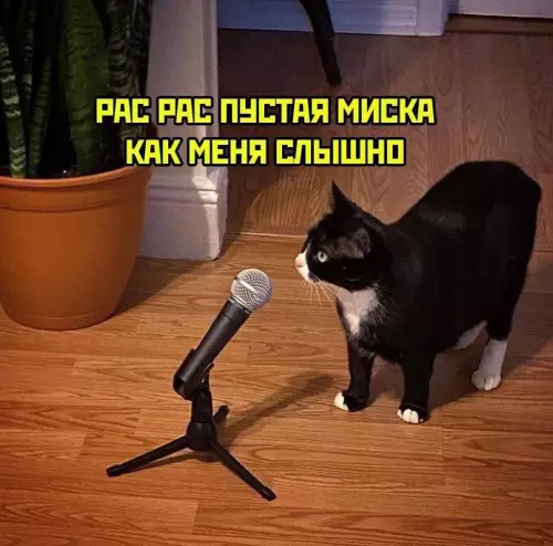 Смешная картинка №798603