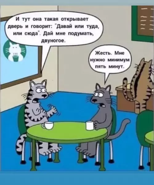 Смешная картинка №679363 коты