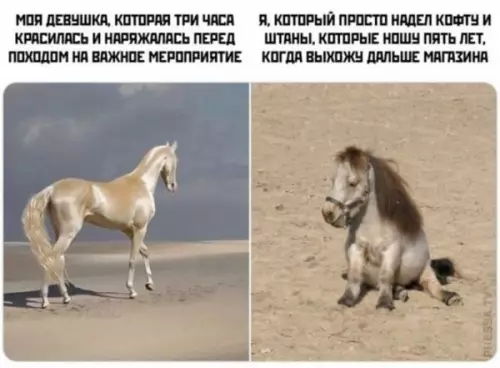 Смешная картинка №652667