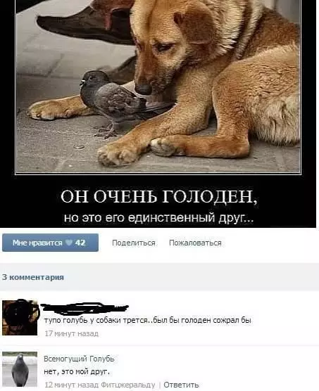 Смешная картинка №175441