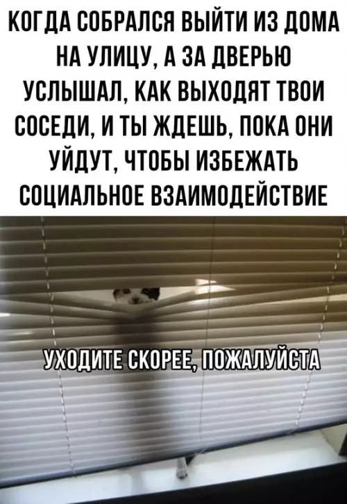 Смешная картинка №686941 Я собирался выйти, но что-то меня остановило