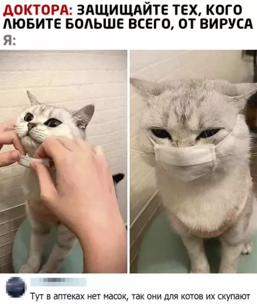 Смешная картинка №482566