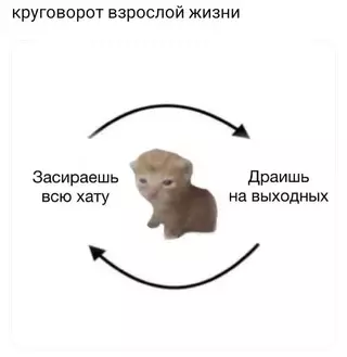Смешная картинка №719958