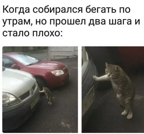 Смешная картинка №220975
