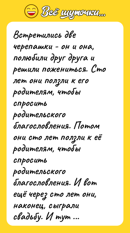 Встретились две черепашки - он и она, полюбили друг друга