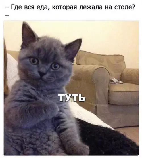 Смешная картинка №211378