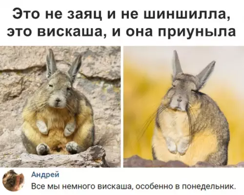 Смешная картинка №342139