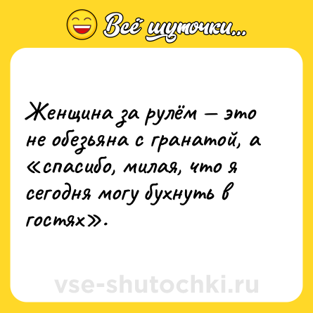 Шутка: Женщина за рулём — это не обезьяна с гранатой, а «спасибо, милая, что я сегодня могу бухнуть в гостях».