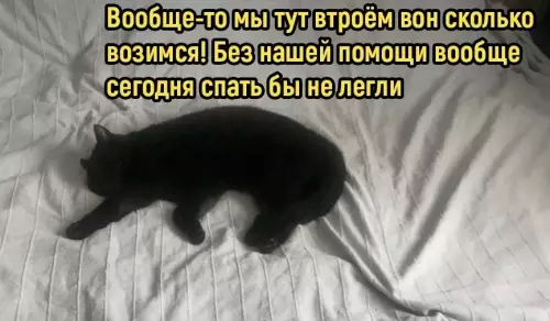 продолжение Смешная картинка №784753