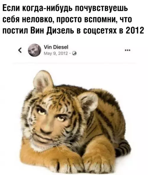 Смешная картинка №656175