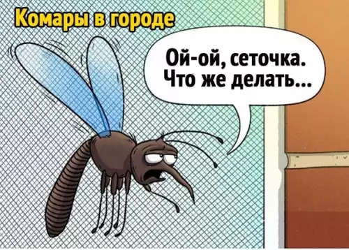 Смешная картинка №589060