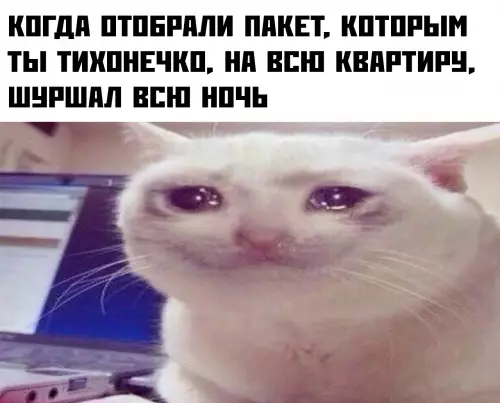 Смешная картинка №676101 За такое "тихонечно" тапком по одному месту получают