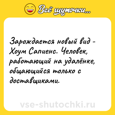 Шутка: Зарождается новый вид - Хоум Сапиенс. Человек, работающий на удалёнке, общающийся только с доставщиками.