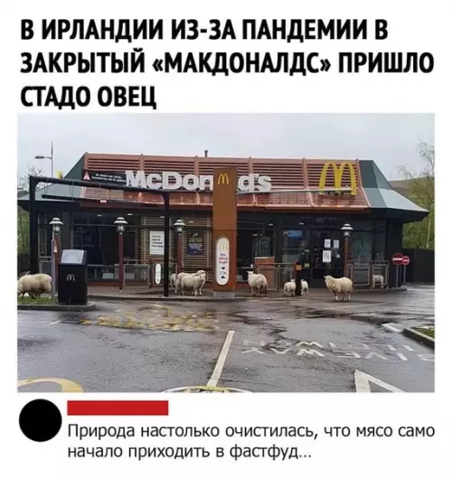 Смешная картинка №492112