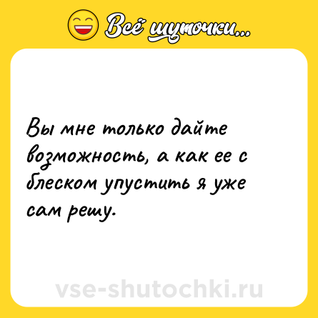 Шутка: Вы мне только дайте возможность, а как ее с блеском упустить я уже сам решу.