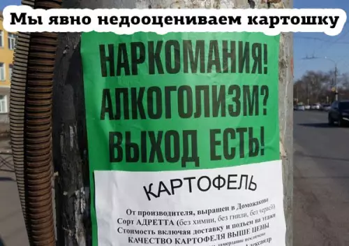 Смешная картинка №284121