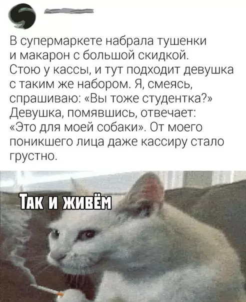 Смешная картинка №392831
