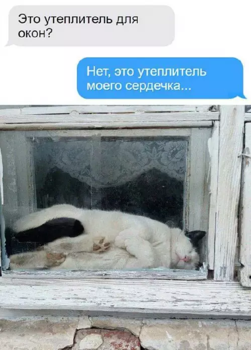 Смешная картинка №759346
