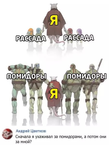 Смешная картинка №526088