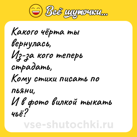 Шутка: Какого чёрта ты вернулась,<br>Из-за кого теперь страдать,<br>Кому стихи писать по пьяни,<br>И в фото вилкой тыкать чьё?