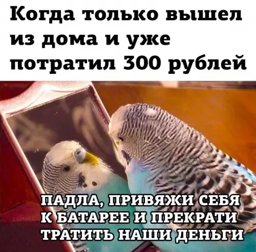 Когда вышел из дома и уже потратил деньги - когда только вышел из дома и уже потратил 300 рублей
